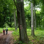 Autor fotografije: Mina Delić